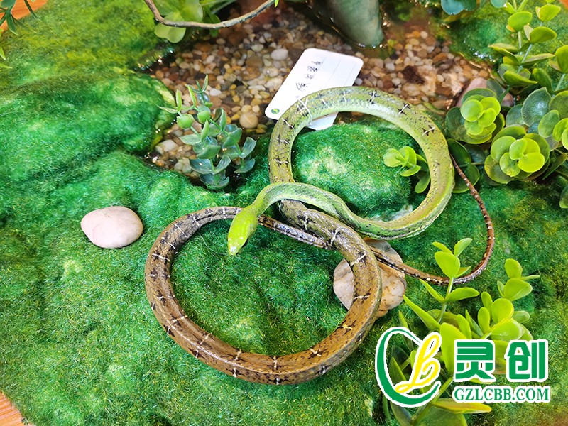 仿真橫紋翠青蛇標本